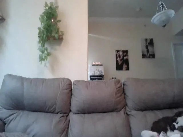 Live sex webcam photo for cozychristine #255362912