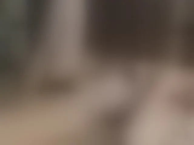 Live sex webcam photo for Sonyabrage #259650135