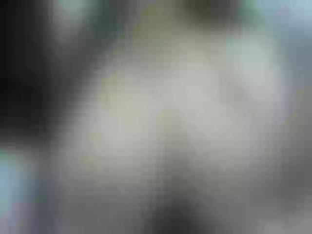 Live sex webcam photo for Cherry__queen #261735218