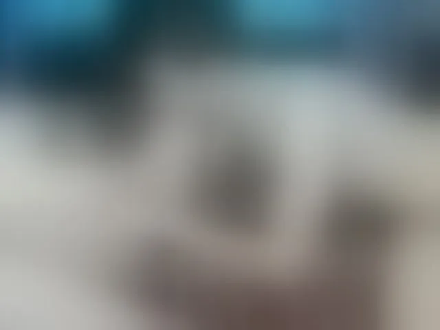 Live sex webcam photo for timon1201 #241216240