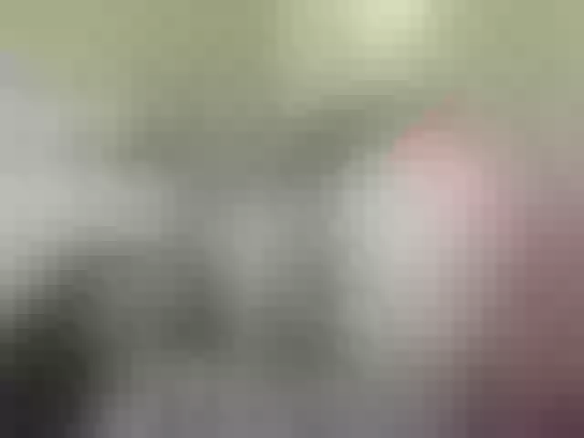 Live sex webcam photo for B3llaSwannie #260824488
