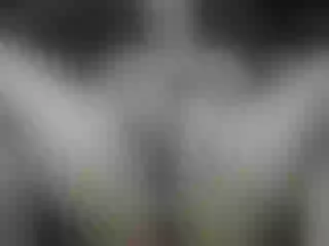 Live sex webcam photo for BlackCatxx #241347599
