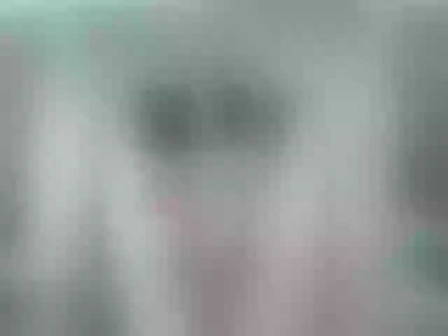 Live sex webcam photo for Mssburbuja #255903154