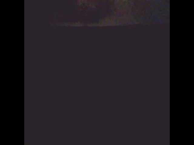 Live sex webcam photo for Sexygeny #262690976