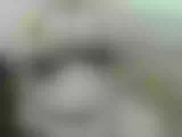 Live sex webcam photo for pugglelover #260090956