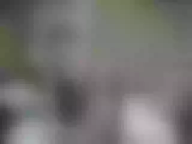 Live sex webcam photo for QuinnGray #252415895