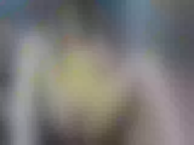 Live sex webcam photo for VenusZill #254801284