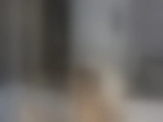 Live sex webcam photo for LiaCherryPie #260494264