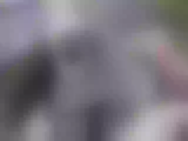 Live sex webcam photo for Siberia-Taiga #287989003