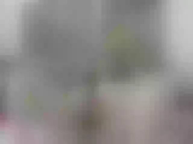 Live sex webcam photo for Sweetdolly20 #258635461