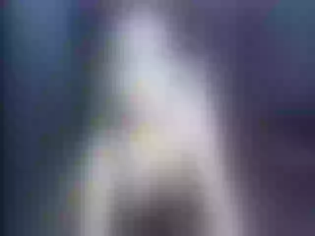 Live sex webcam photo for Ellaquality #252433564
