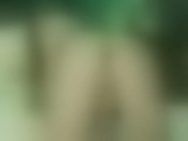 Live sex webcam photo for Alexajoyy #252276485