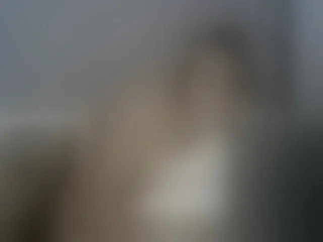 Live sex webcam photo for Tattoo_bbgirl #261409257