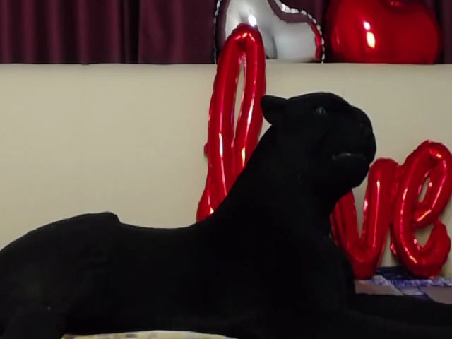 Live sex webcam photo for Lovely_Nadia #257169689