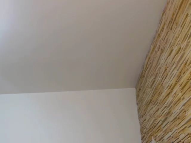 Live sex webcam photo for MissElisabeth #264481646