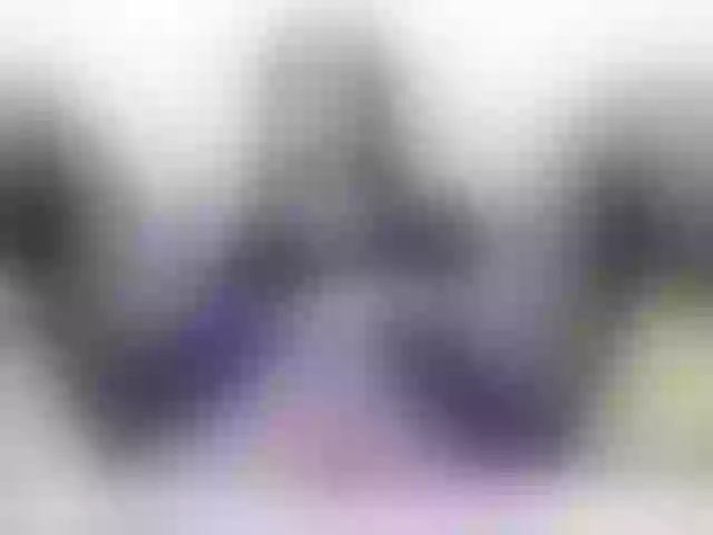 Live sex webcam photo for Vikibru #240905589