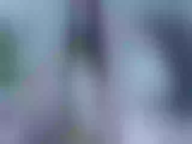 Live sex webcam photo for Selerah #260952833