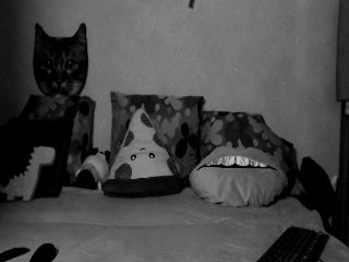 Live sex webcam photo for IamMiky #252055636