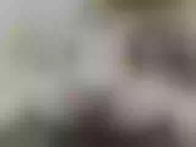 Live sex webcam photo for pugglelover #253813441