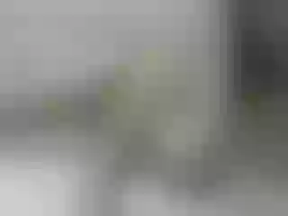 Live sex webcam photo for Misskristina #240624274