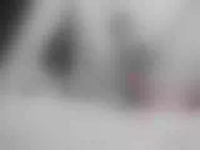 Live sex webcam photo for Girasolwalton #257168407