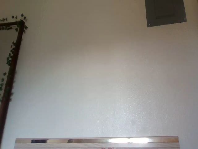 Live sex webcam photo for wetlittleluna #260199915