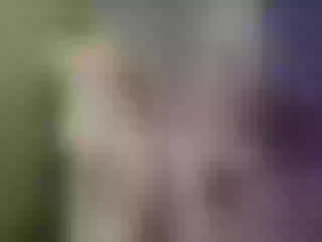 Live sex webcam photo for Evelynevi #255546927