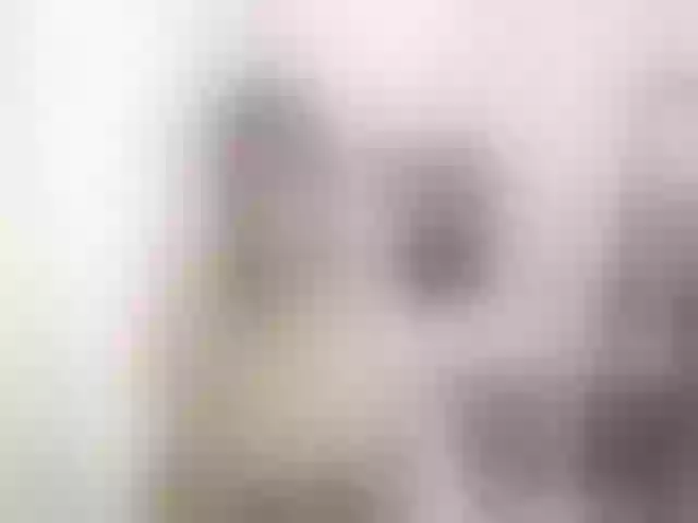 Live sex webcam photo for Kathe_tompson #257812890