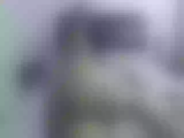 Live sex webcam photo for angiebigtits #261861964