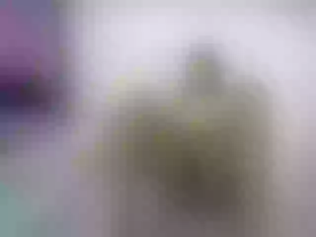 Live sex webcam photo for NoemiDavis #259289782