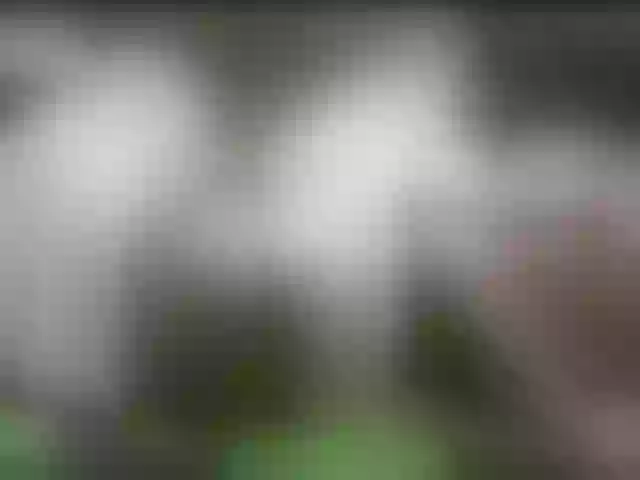 Live sex webcam photo for alisablond #241284758