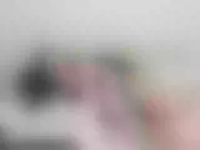 Live sex webcam photo for AnyGreen #248505465