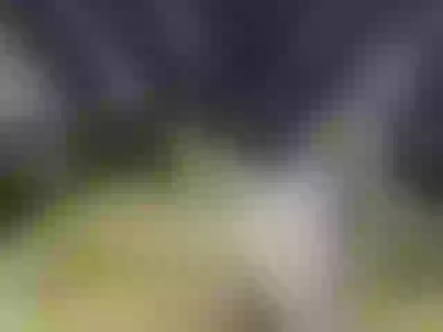 Live sex webcam photo for Titawish #241343333