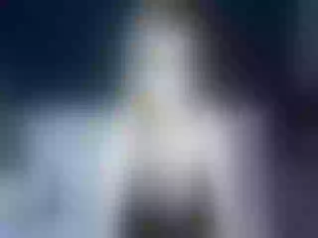 Live sex webcam photo for Ellaquality #263125521