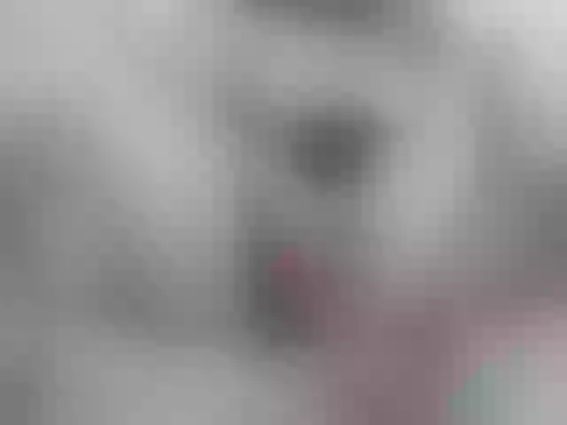 Live sex webcam photo for Alida-2 #256253446