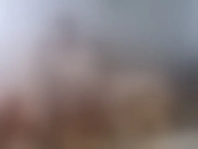 Live sex webcam photo for morkovka1234 #241068271
