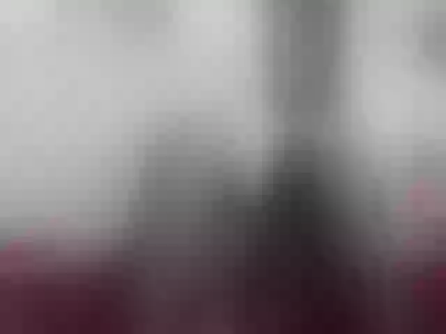 Live sex webcam photo for girasol-walto #242349737