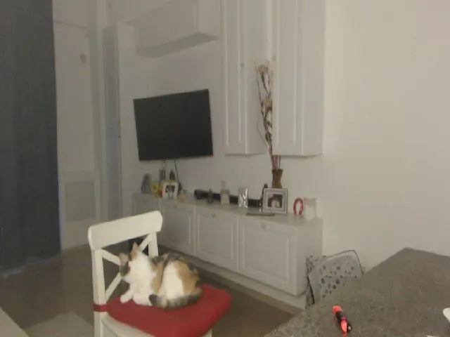 Live sex webcam photo for ShineySmile #255399296