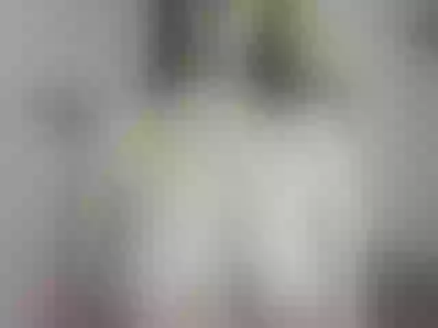 Live sex webcam photo for LEYNABRAUN #263321934