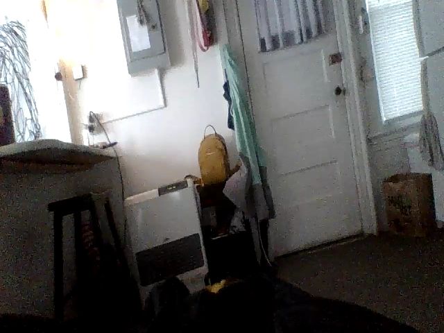 Live sex webcam photo for MissMo #256455835