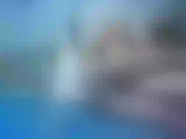 Live sex webcam photo for cheaptipmenu #240918249