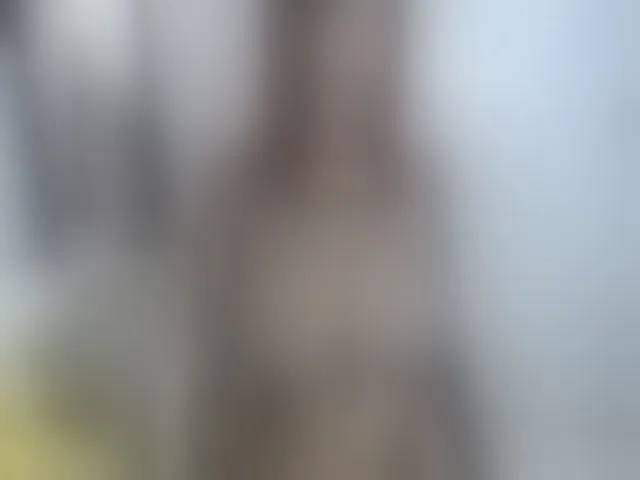 Live sex webcam photo for Adrybershel #252942910