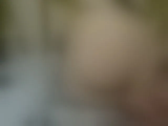 Live sex webcam photo for Mssbombom_ #259895863
