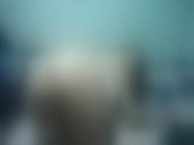 Live sex webcam photo for Girlhornyx20 #252314638