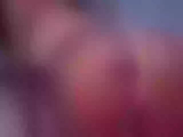 Live sex webcam photo for BlackRoseXXX #241174216