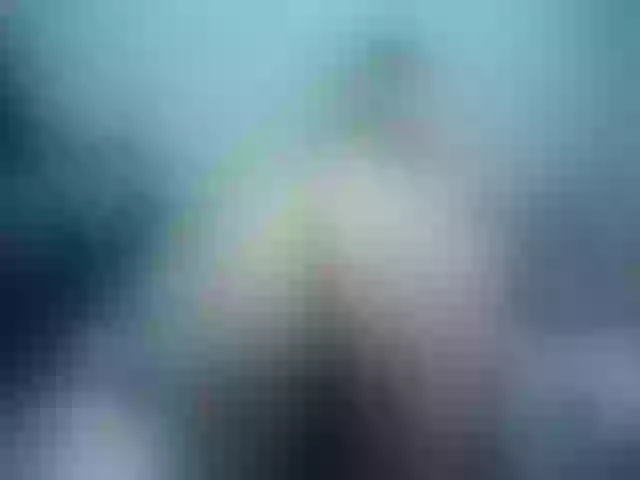 Live sex webcam photo for Girlhornyx20 #252625265