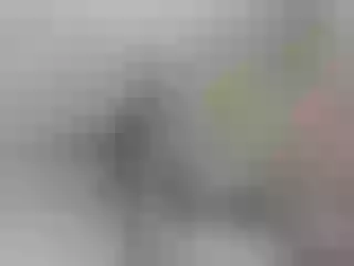 Live sex webcam photo for Misskristina #240584193