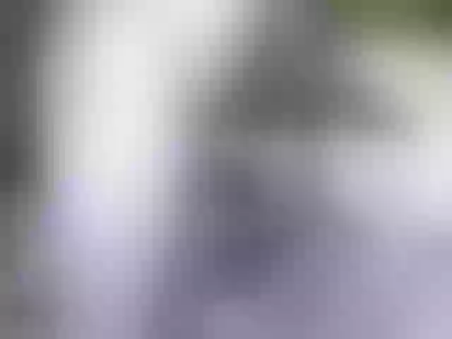 Live sex webcam photo for Siberia-Taiga #287988939