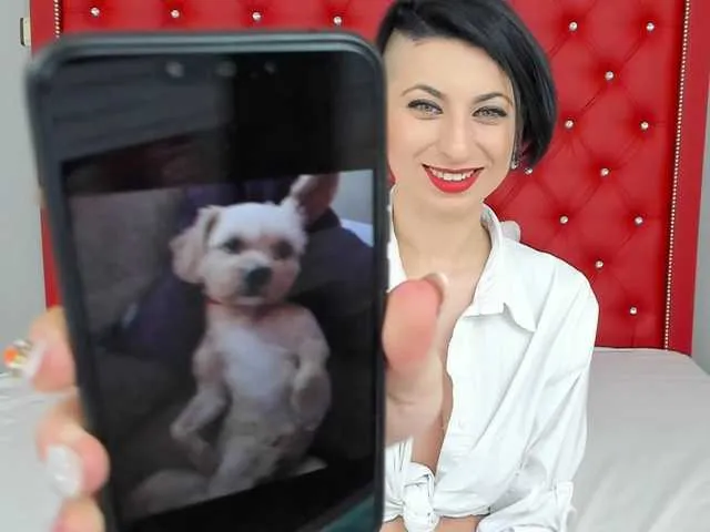 Live sex webcam photo for MollyFox1 #241402682