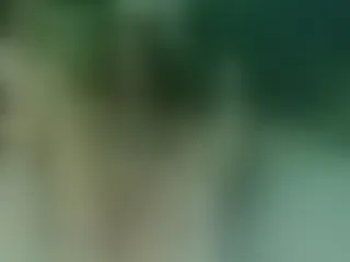 Live sex webcam photo for Alexajoyy #251993291